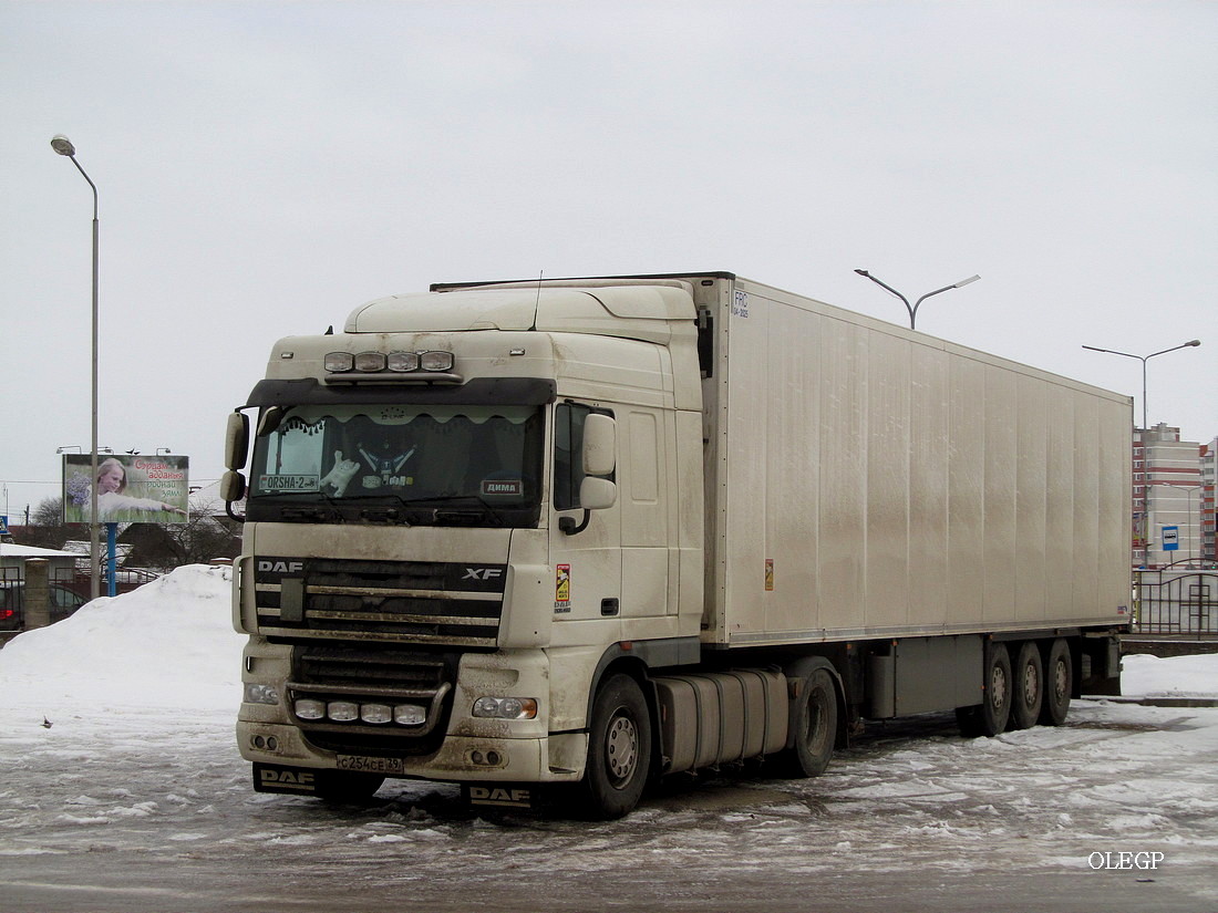 Калининградская область, № С 254 СЕ 39 — DAF XF105 FT