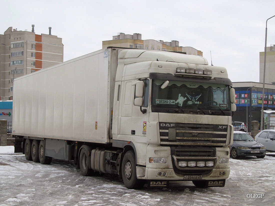 Калининградская область, № С 254 СЕ 39 — DAF XF105 FT