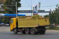 494 КБ