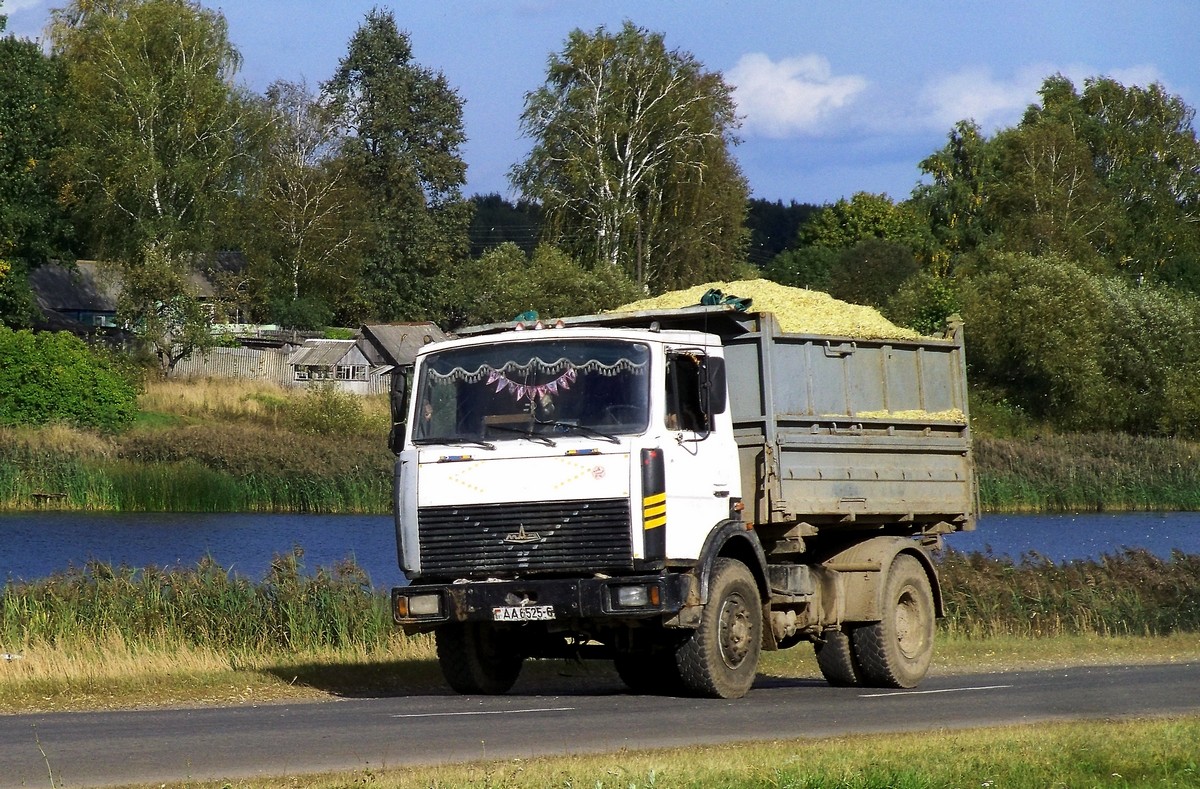 Могилёвская область, № АА 6525-6 — МАЗ-5551 (общая модель)