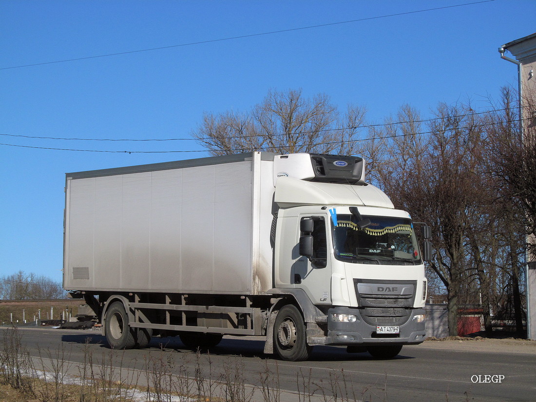 Минская область, № АТ 4379-7 — DAF LF Euro6 FA