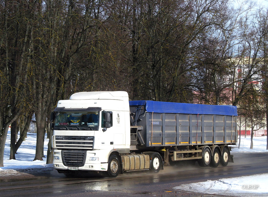 Витебская область, № АК 9086-2 — DAF XF105 FT