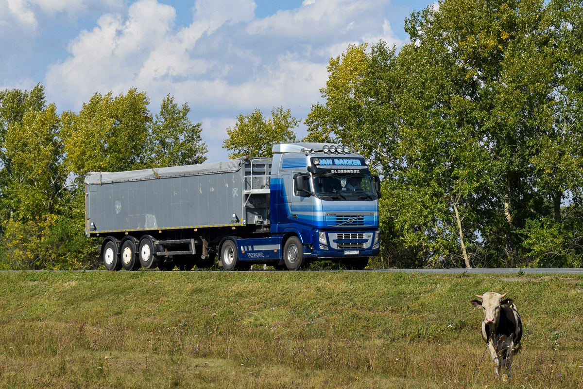 Алтайский край, № М 239 УМ 71 — Volvo ('2008) FH.480