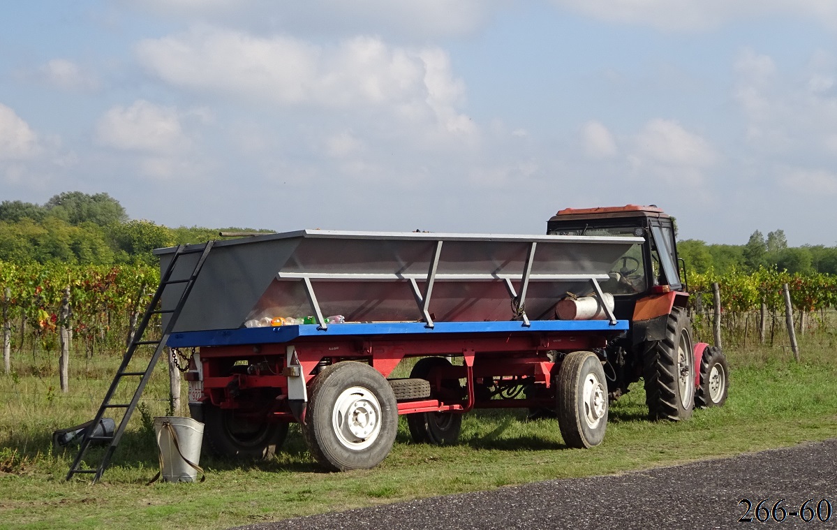 Венгрия, № YLL-922 — MBP-6,5 (общая модель); Венгрия — Сбор винограда в Венгрии