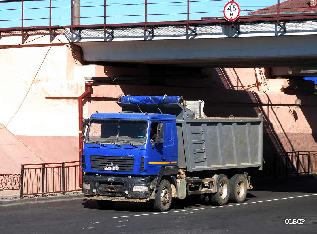 Витебская область, № АМ 5710-2 — МАЗ-6501 (общая модель)