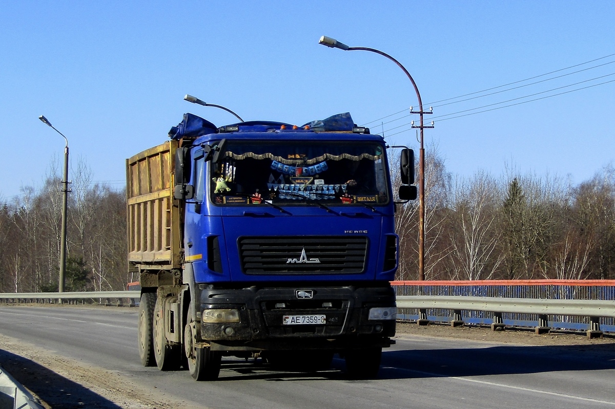 Могилёвская область, № АЕ 7359-6 — МАЗ-6501 (общая модель)