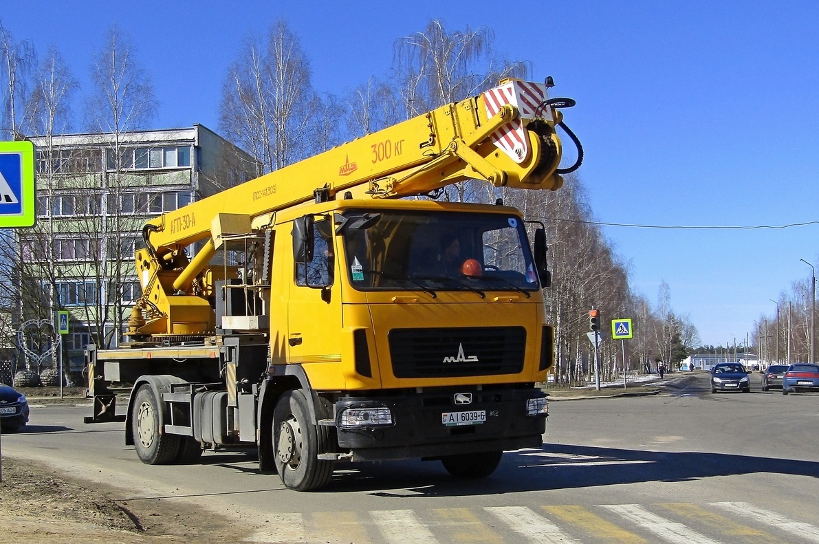 Могилёвская область, № АІ 6039-6 — МАЗ-5340C2