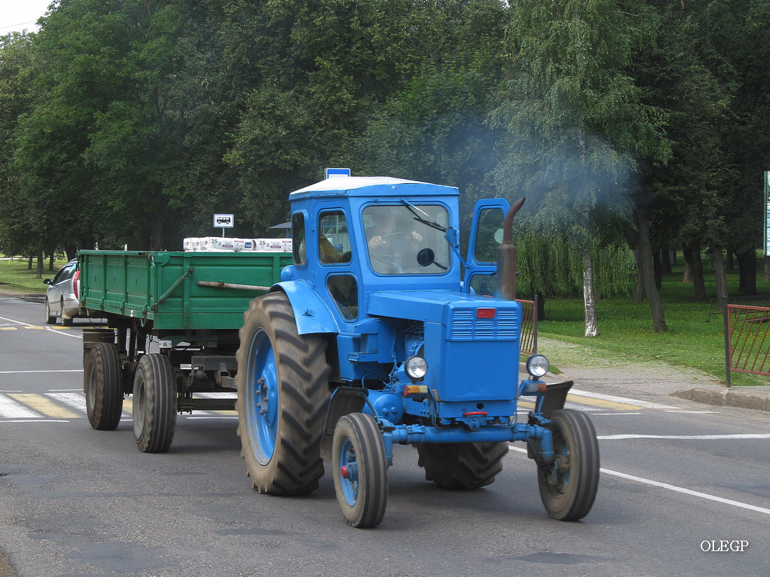 Витебская область, № ВА 1303 — Т-40М