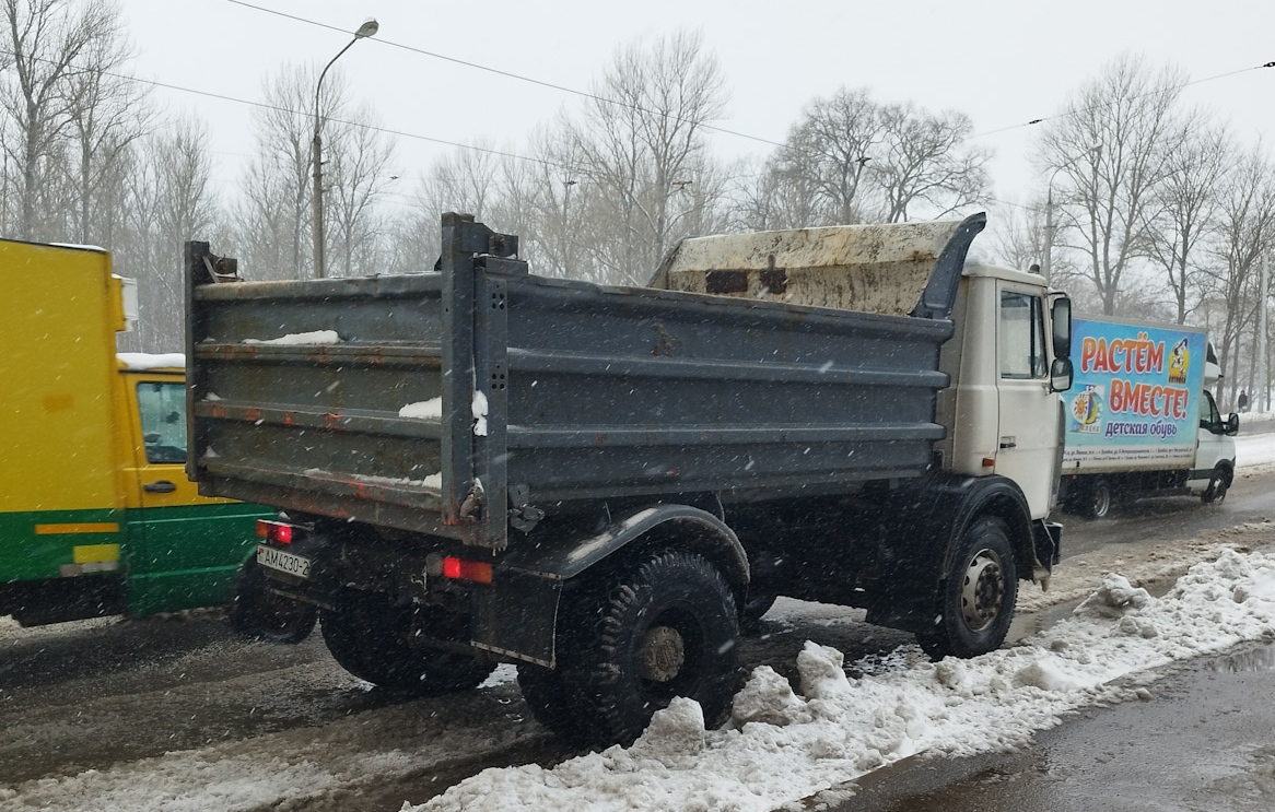 Витебская область, № АМ 4230-2 — МАЗ-5551 (общая модель)