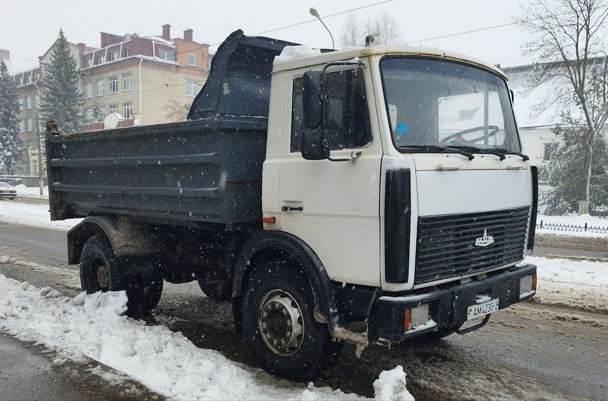 Витебская область, № АМ 4230-2 — МАЗ-5551 (общая модель)