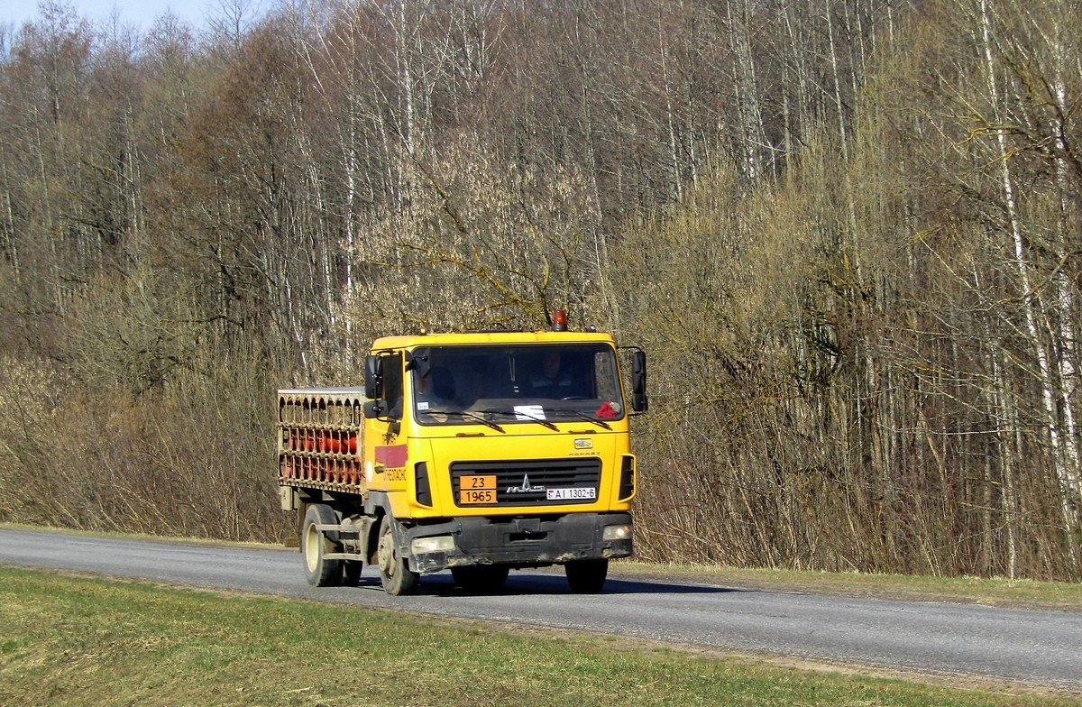 Могилёвская область, № АІ 1302-6 — МАЗ-4571