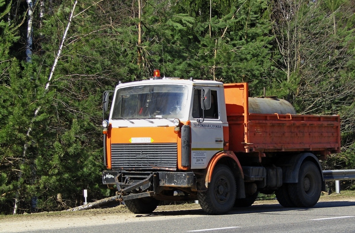 Могилёвская область, № ТЕ 8329 — МАЗ-5551 (общая модель)