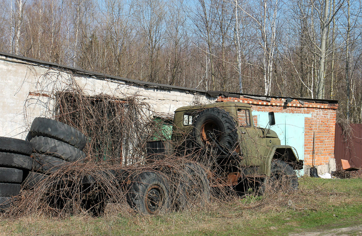 Воронежская область, № А 729 НМ 36 — ЗИЛ-131