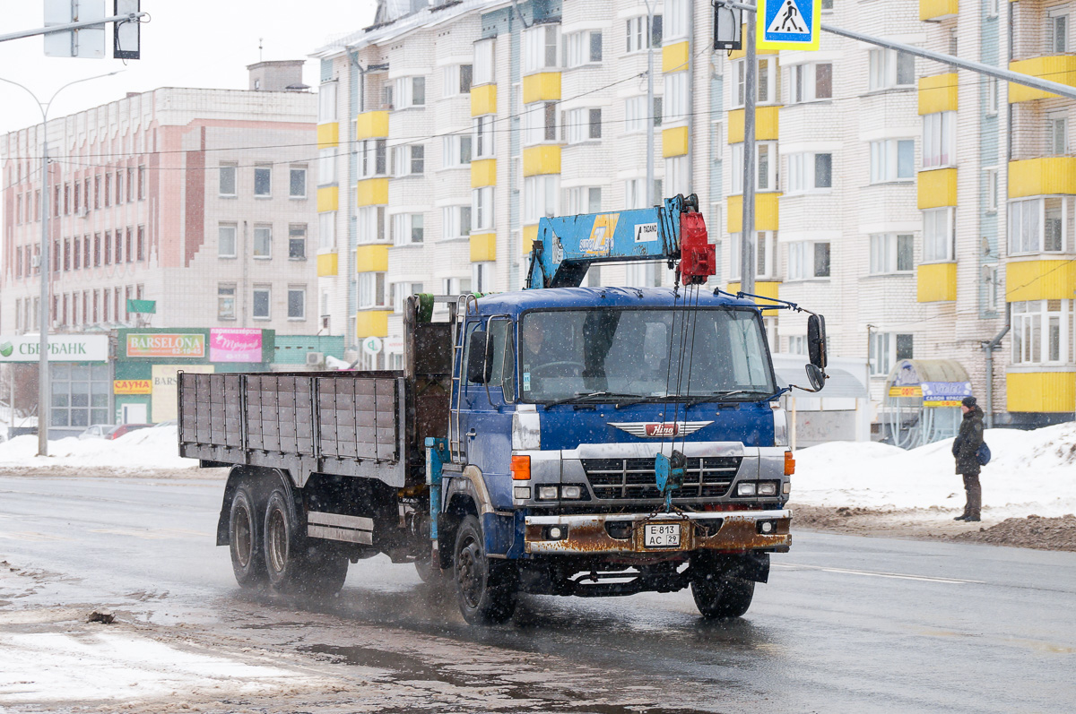 Архангельская область, № Е 813 АС 29 — Hino 700