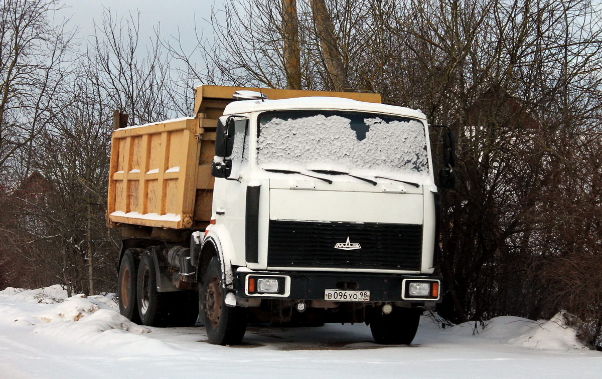 Псковская область, № В 096 УО 98 — МАЗ-551605