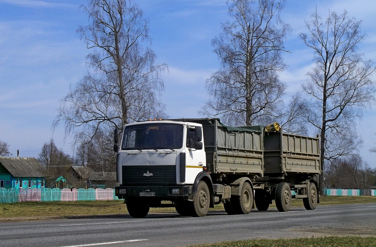 Могилёвская область, № АА 6560-6 — МАЗ-555142