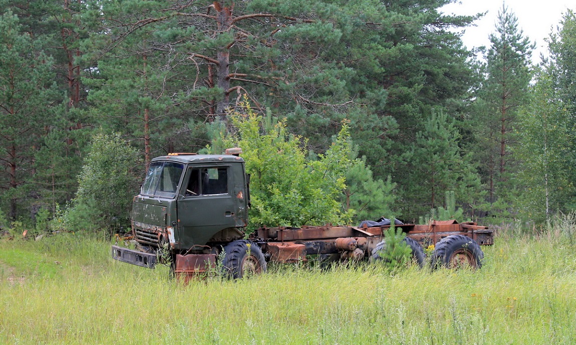 Псковская область — Автомобили без номеров