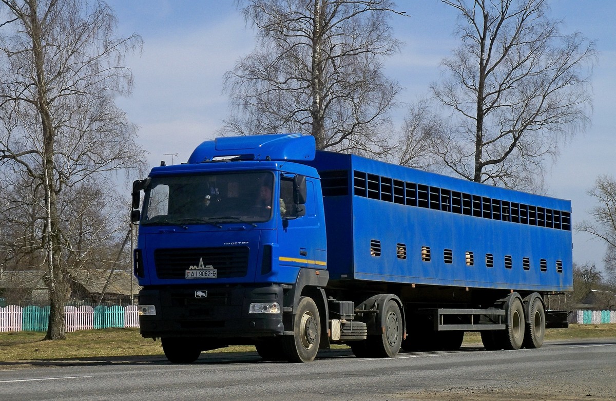 Могилёвская область, № АІ 9062-6 — МАЗ-5440 (общая модель)