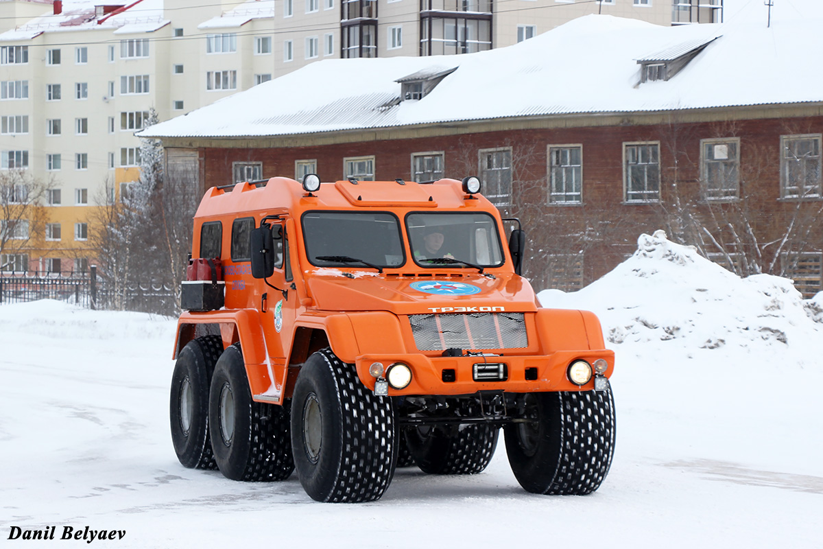 Ненецкий автономный округ, № (83) Б/Н СТ 0036 — ТРЭКОЛ-39294; Ненецкий автономный округ — Спецтехника с нечитаемыми (неизвестными) номерами