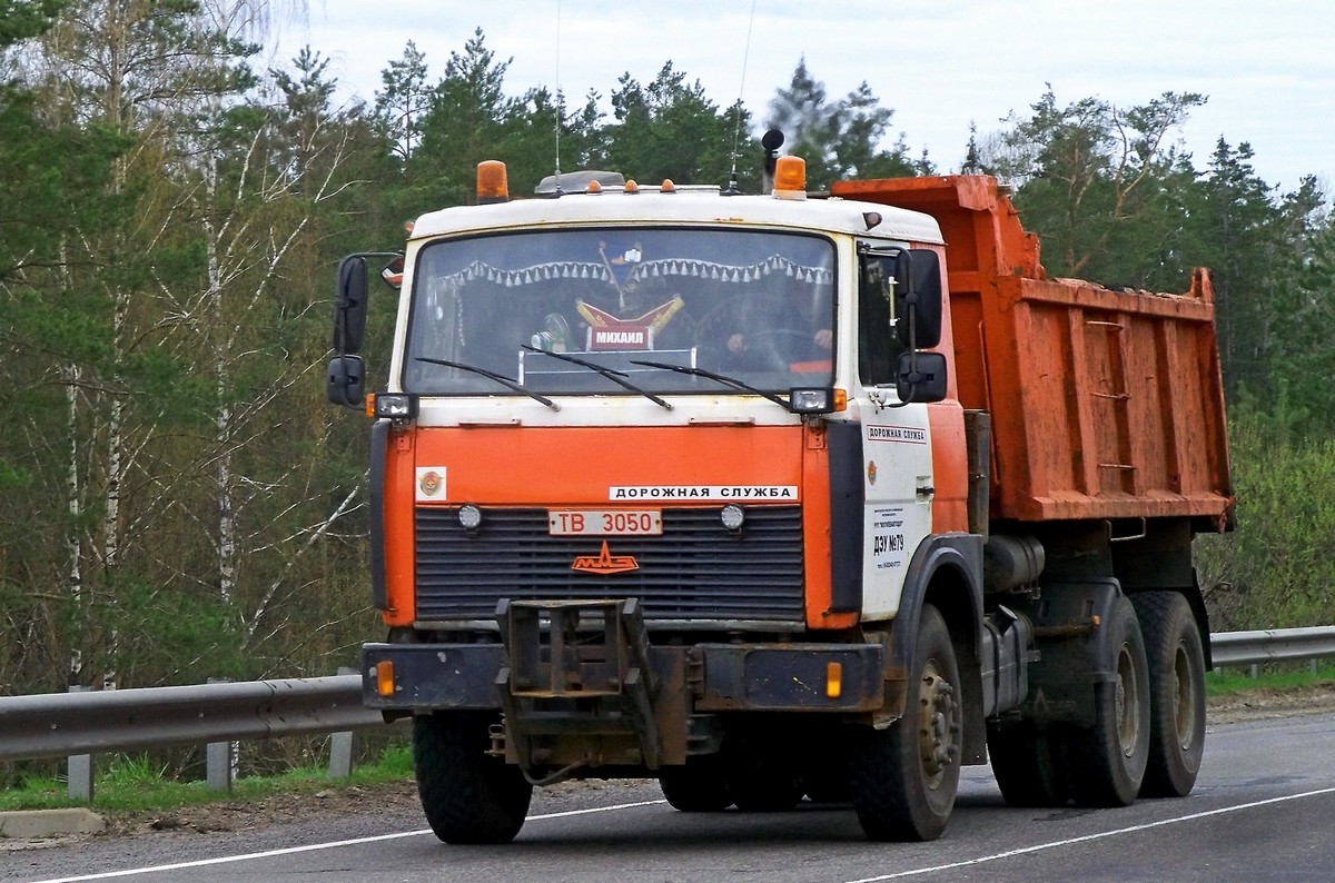 Могилёвская область, № ТВ 3050 — МАЗ-5516 (общая модель)