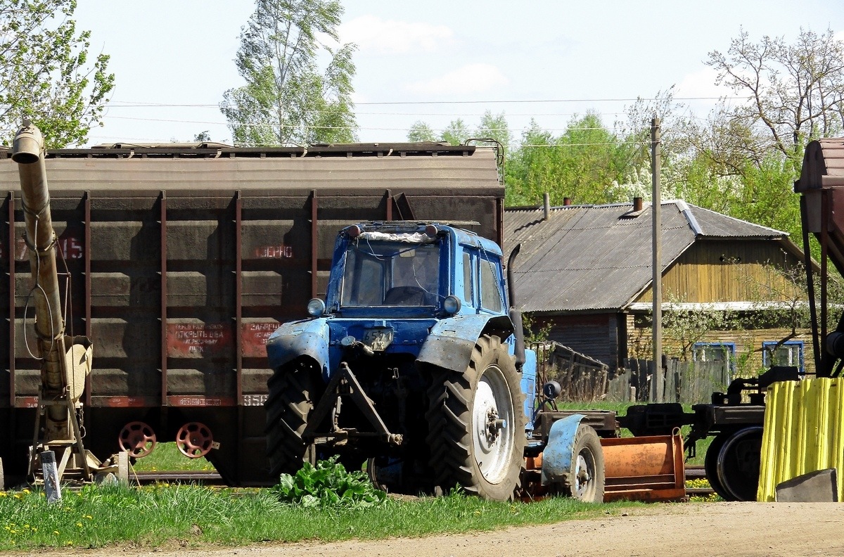 Могилёвская область, № 6591 МЖ — МТЗ-80 (общая модель)