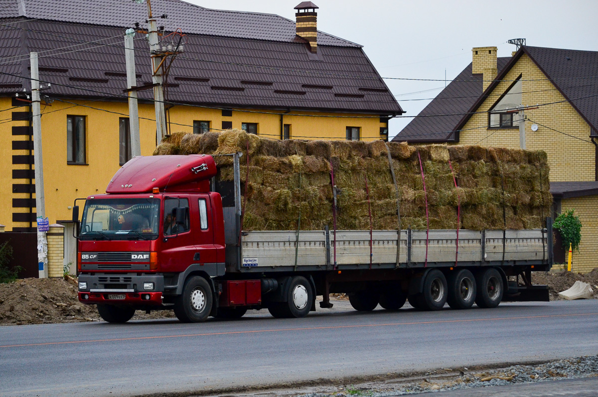 Волгоградская область, № К 009 ВХ 34 — DAF 85 (CF) FT