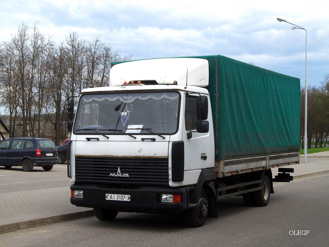 Гомельская область, № АІ 3107-3 — МАЗ-4371 (общая модель)