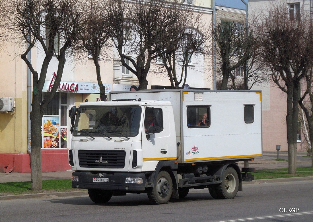 Витебская область, № АК 2806-2 — МАЗ-4571