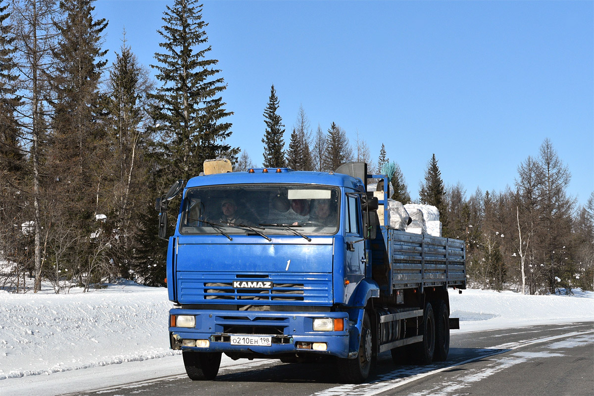 Санкт-Петербург, № О 210 ЕН 198 — КамАЗ-65117-62