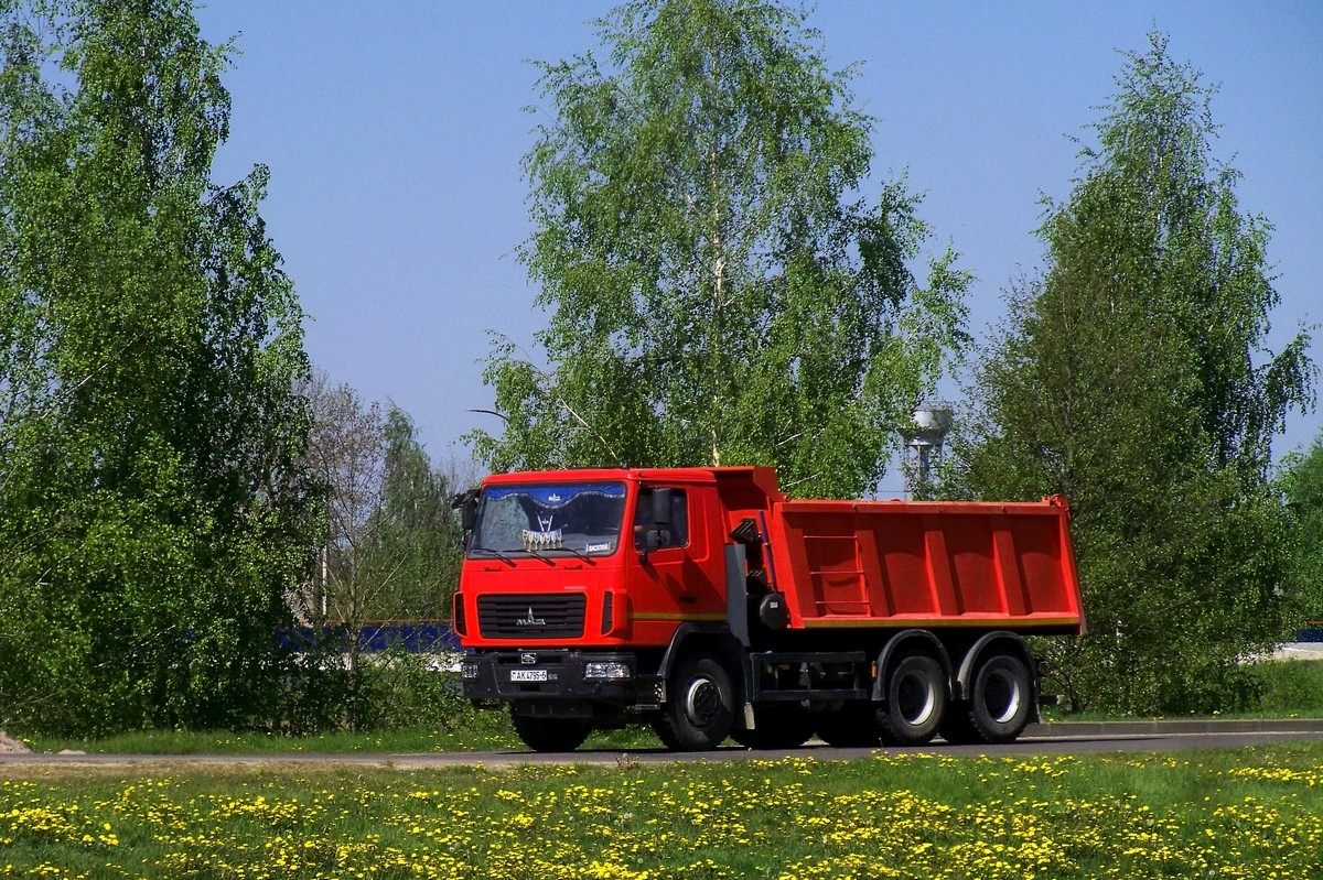 Могилёвская область, № АК 4795-6 — МАЗ-6501 (общая модель)