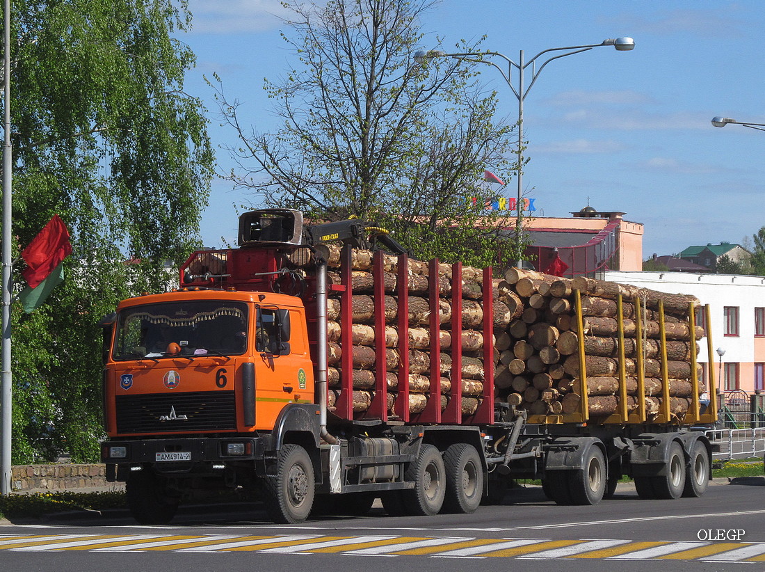 Витебская область, № АМ 4914-2 — МАЗ-6317 (общая модель)