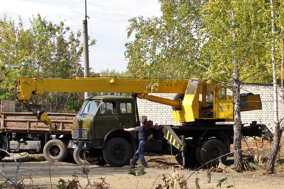 Воронежская область, № М 960 ВХ 36 — МАЗ-5334