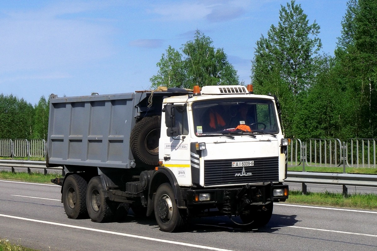 Могилёвская область, № АІ 6009-6 — МАЗ-5516 (общая модель)