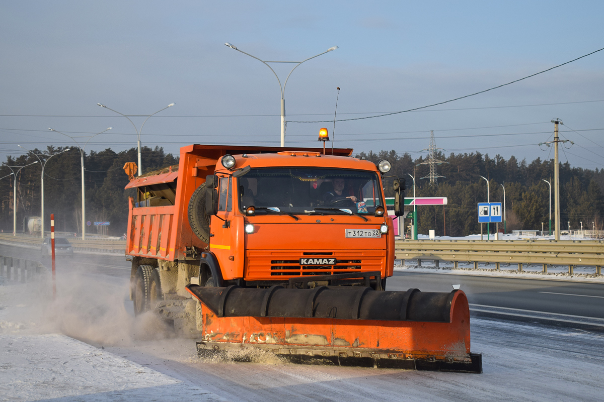 Алтайский край, № Т 312 ТО 22 — КамАЗ-65115-62