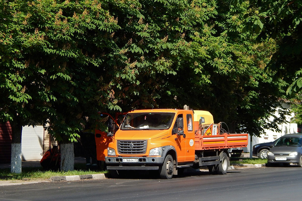 Белгородская область, № Т 166 ЕК 31 — ГАЗ-C42R33