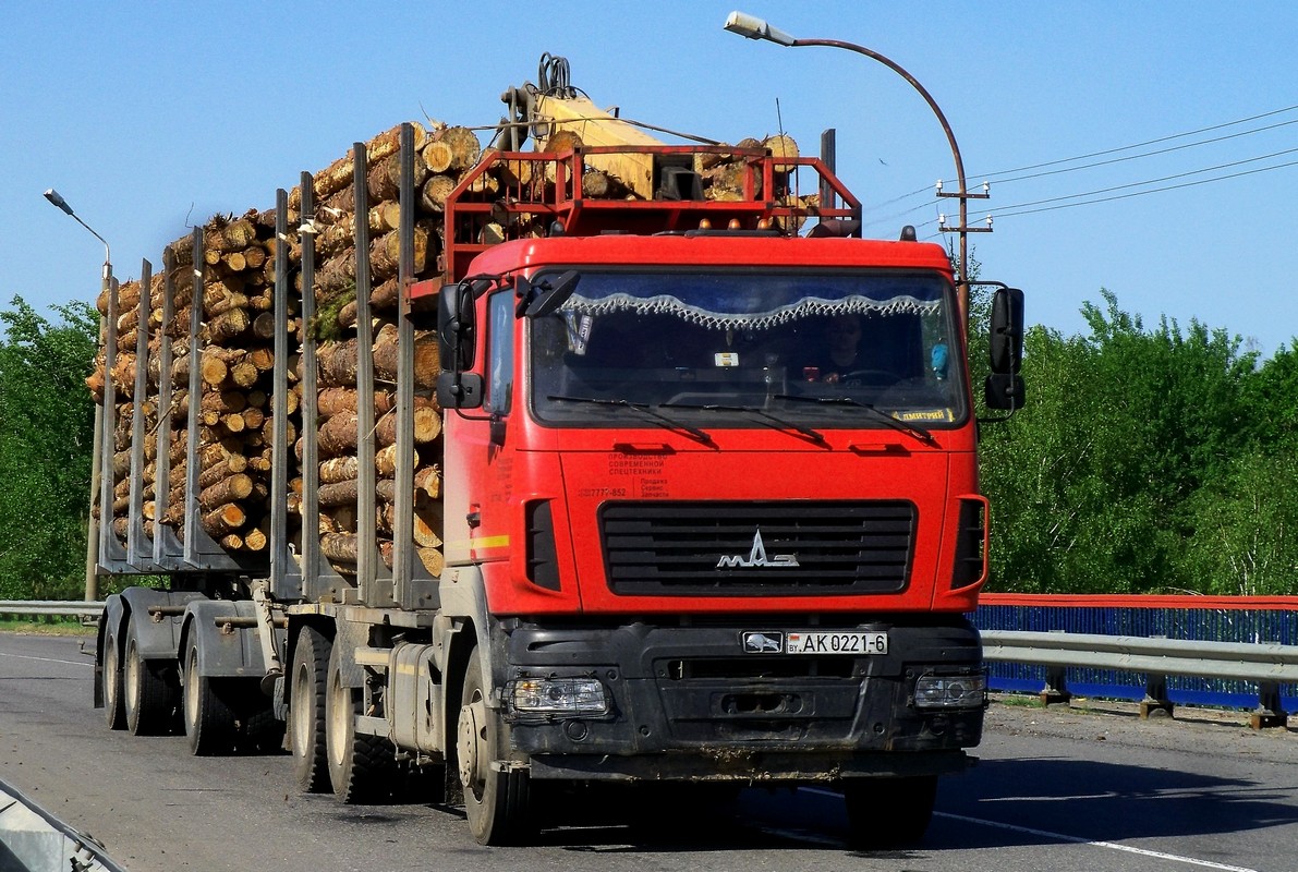 Могилёвская область, № АК 0221-6 — МАЗ-6312 (общая модель)