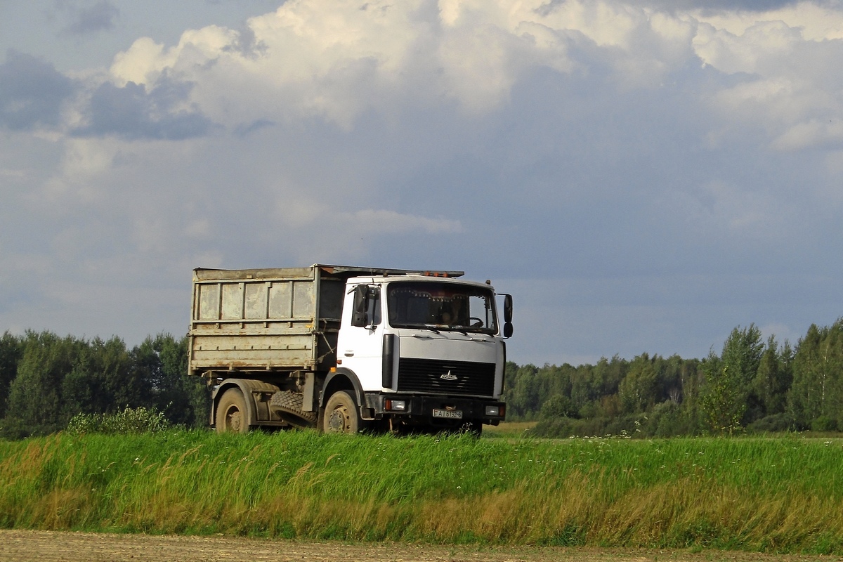 Могилёвская область, № АІ 6192-6 — МАЗ-555142