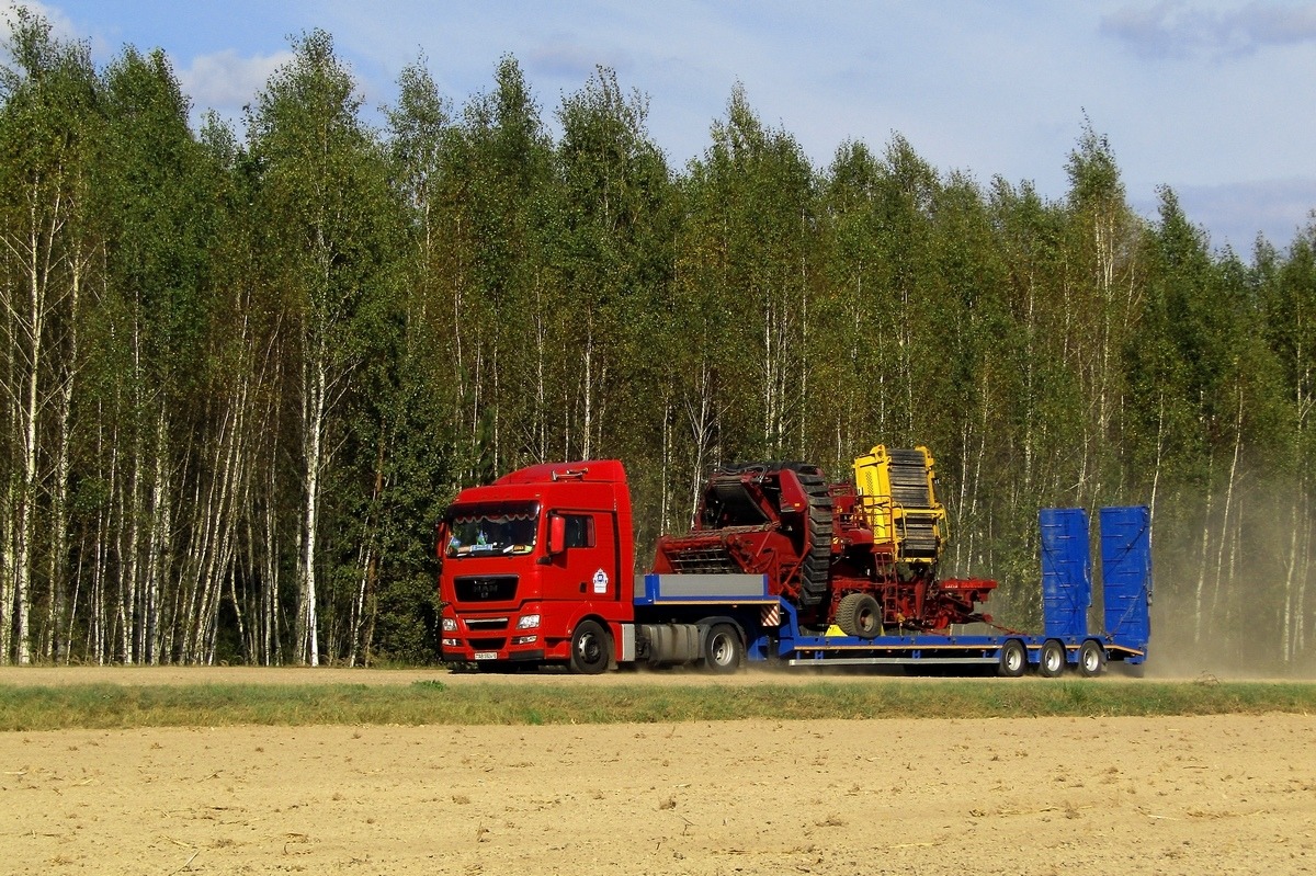 Могилёвская область, № АВ 5924-6 — MAN TGX ('2007) 18.400; Прицепы сельскохозяйственные — Комбайны прицепные (общая)