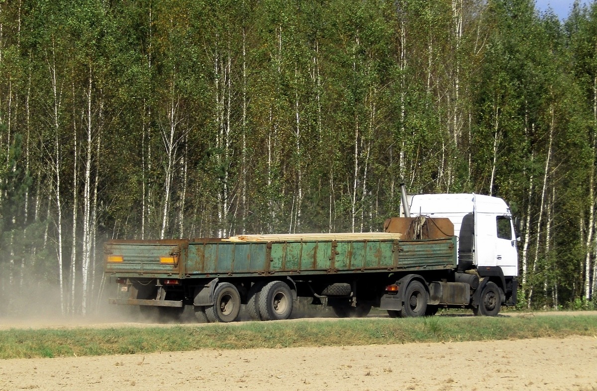 Могилёвская область, № 1185 ТМ — МАЗ-9397