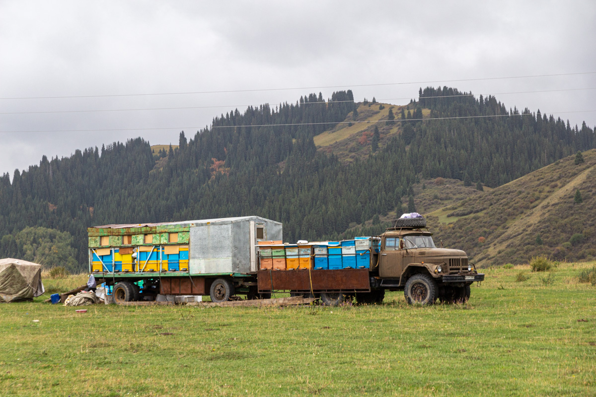 Алматинская область, № B 599 DHO — ЗИЛ-131