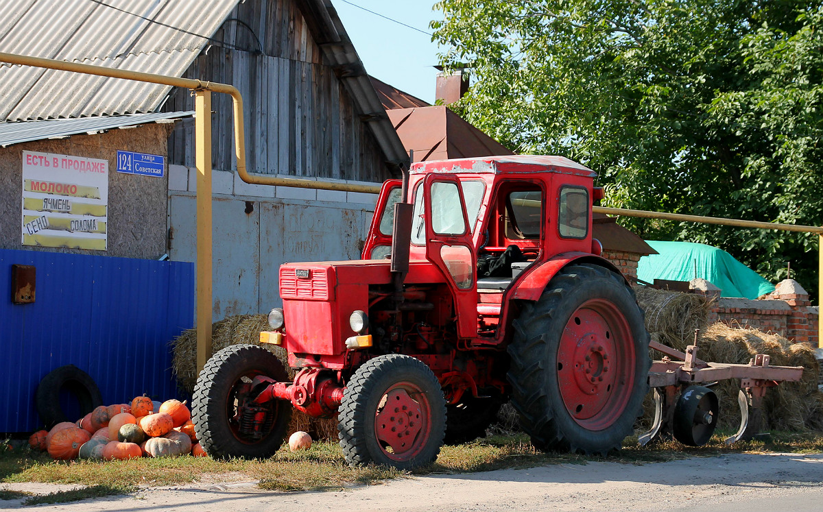 Воронежская область, № 5077 ЕТ 36 — Т-40АМ