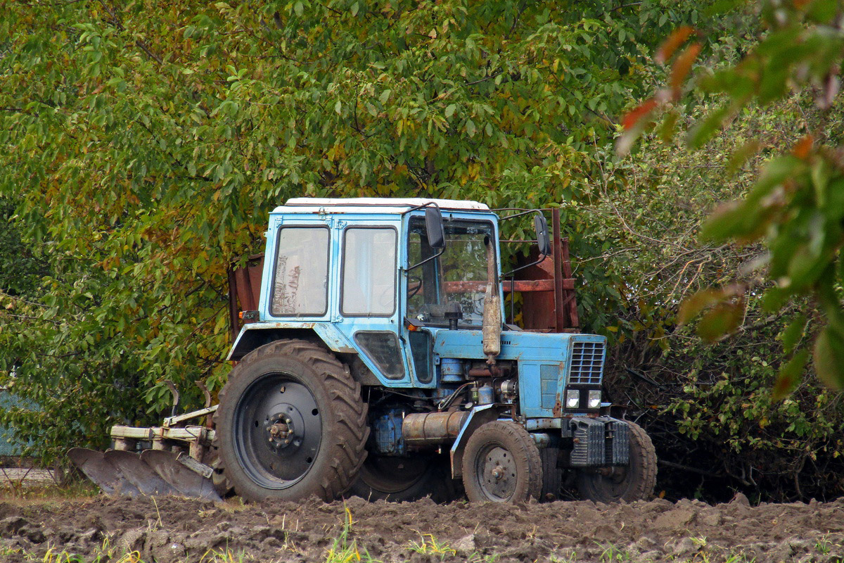 Полтавская область, № 15683 BM — МТЗ-80 (общая модель)