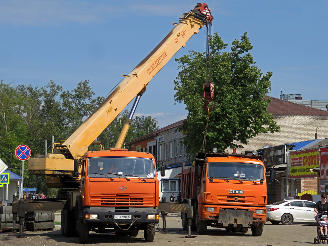 Владимирская область, № Н 817 КВ 33 — БАЗ-8029