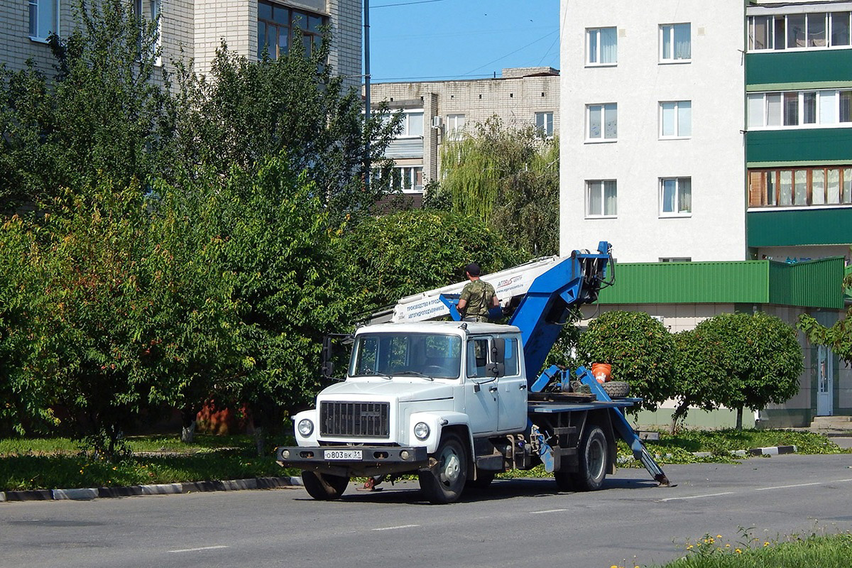 Белгородская область, № О 803 ВК 31 — ГАЗ-3309