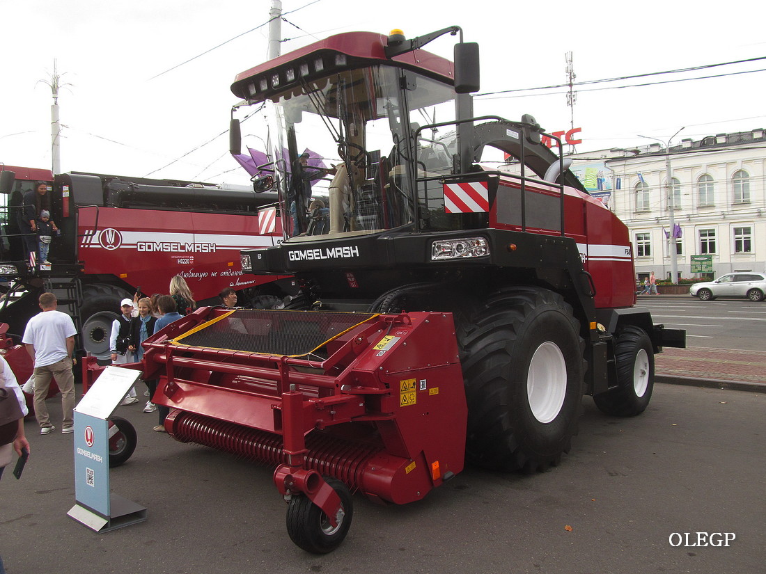 Гомельская область, № (BY-3) Б/Н СТ 0020 — КВК-800 "Палессе FS80"