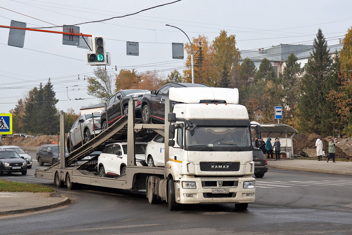 Новосибирская область, № М 196 МО 154 — КамАЗ-5490-S5