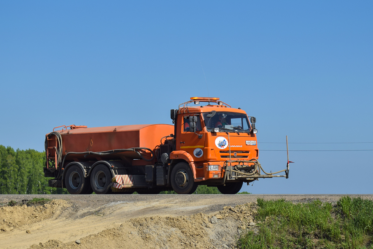 Алтайский край, № К 663 ХВ 22 — КамАЗ-65115-L4(19)