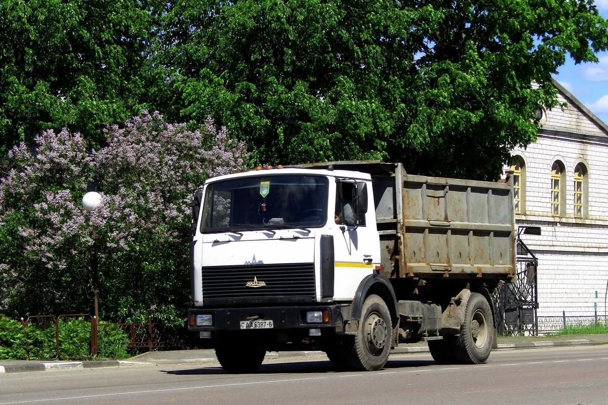 Могилёвская область, № АА 6387-6 — МАЗ-5551 (общая модель)