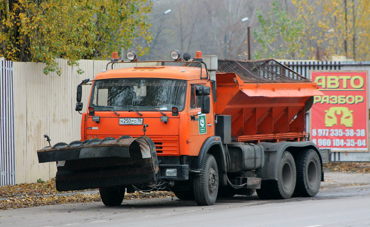 Воронежская область, № Н 250 РО 36 — КамАЗ-65115-62