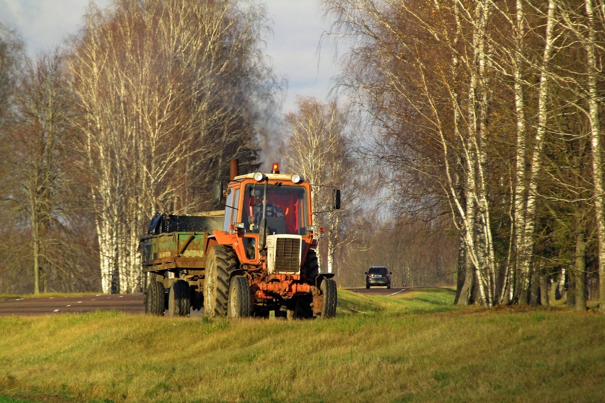 Могилёвская область, № 0055 ТВ — Беларус-82.1